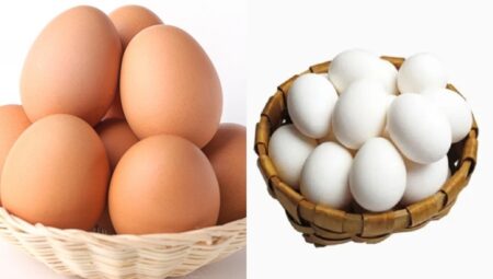 Kahverengi Yumurta ve Beyaz Yumurta Hangisi Daha Sağlıklı?